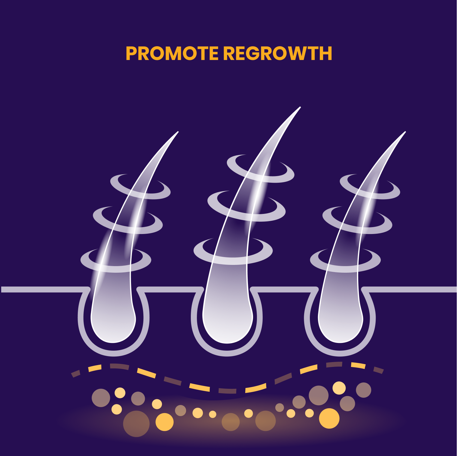 Reactivated follicles